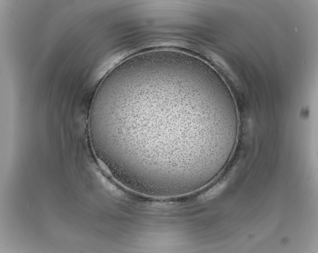 X0000090450985200707272212