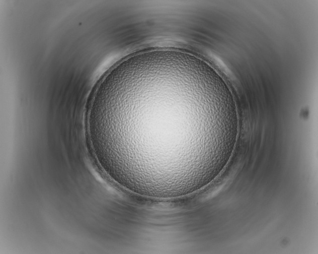 X0000090450986200707272212