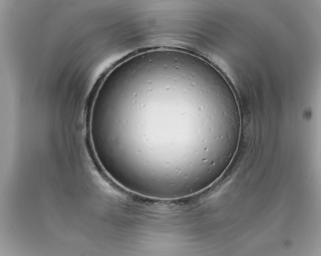 X0000090450987200707272212