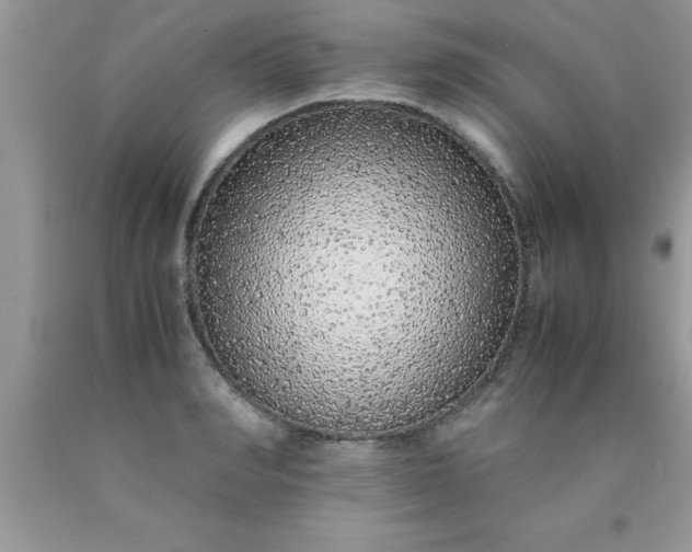 X0000090450990200707272212