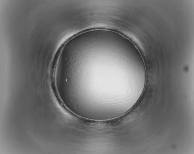 X0000090450991200707272212