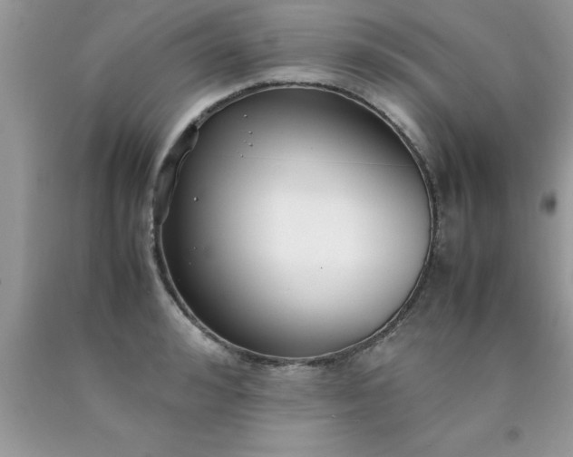 X0000090450992200707272212