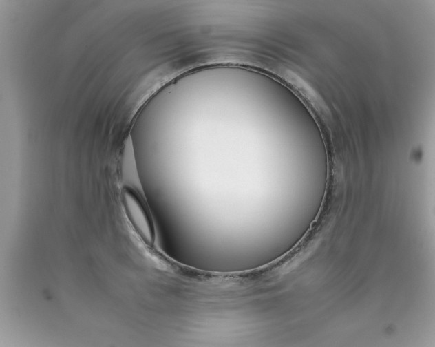 X0000090450993200707272212