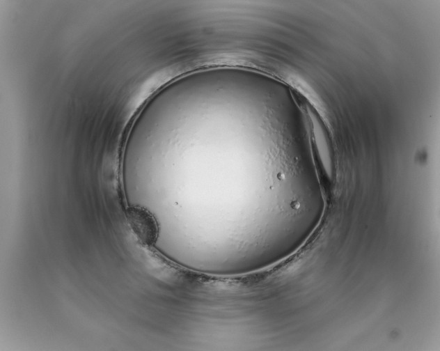 X0000090450994200707272212