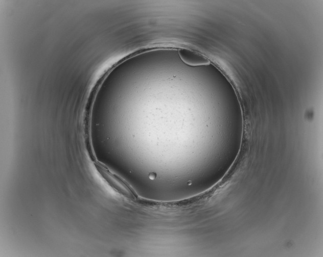 X0000090450995200707272212