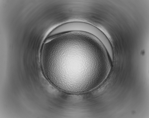 X0000090450996200707272212