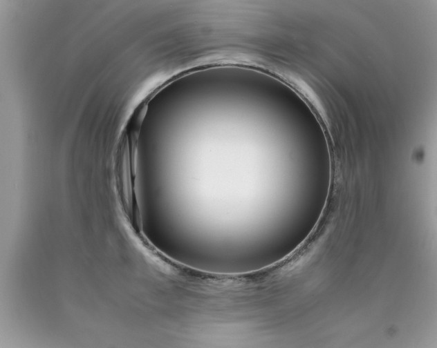 X0000090450997200707272212