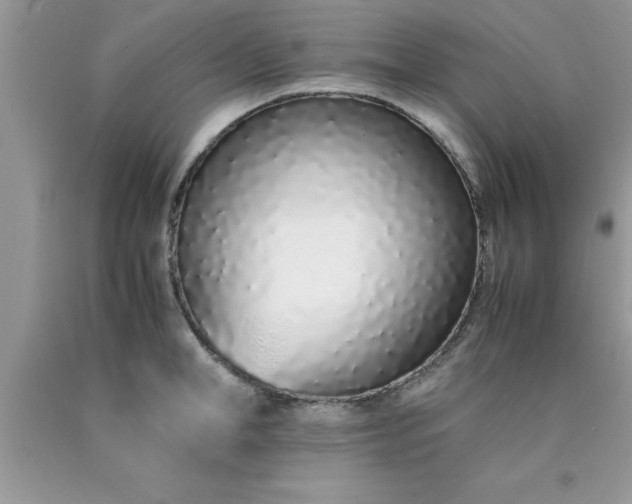 X0000090450998200707272212