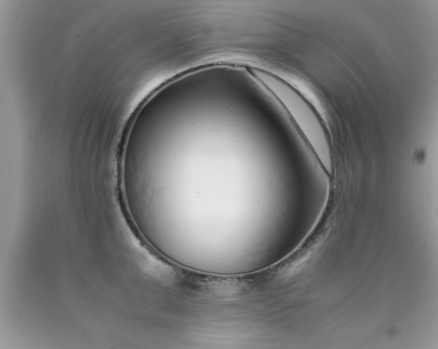 X0000090450999200707272212