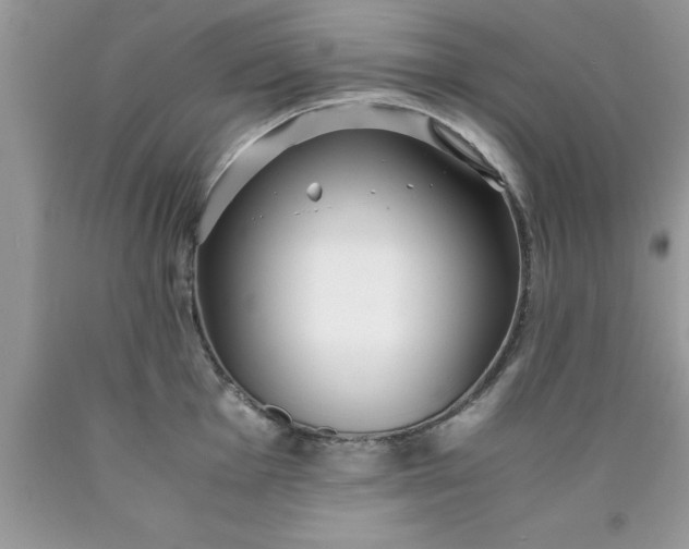 X0000090451001200707272212