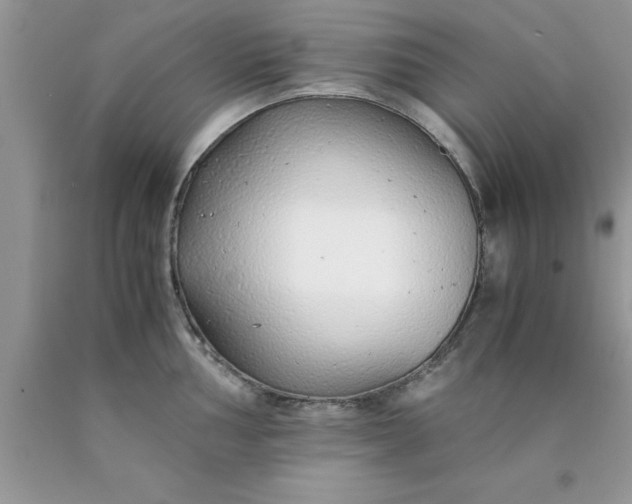 X0000090451002200707272212