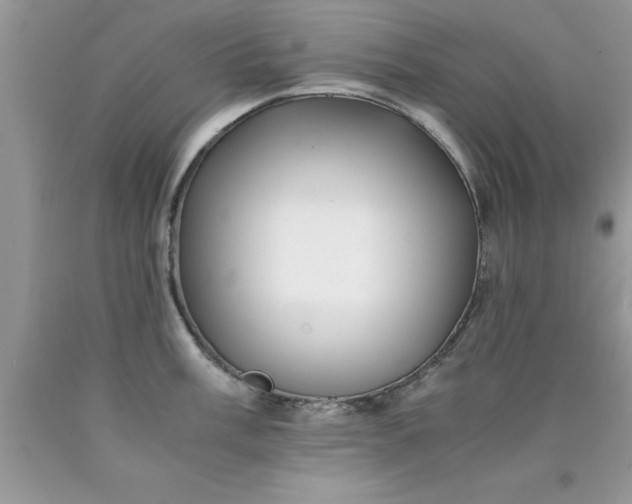 X0000090451003200707272212