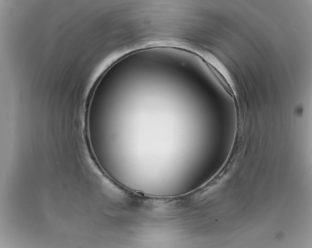 X0000090451005200707272211