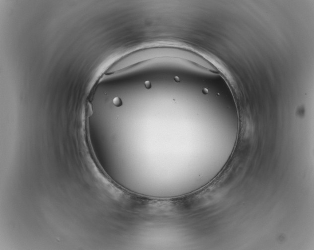 X0000090451006200707272211