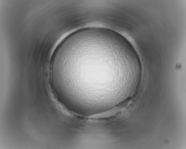 X0000090451008200707272211