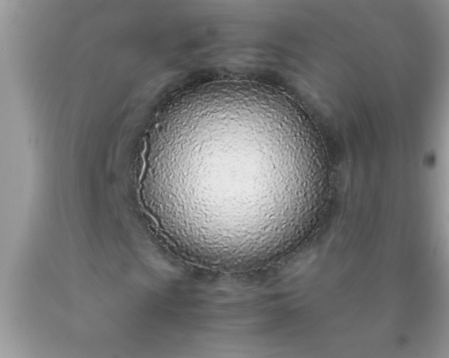 X0000090451009200707272211