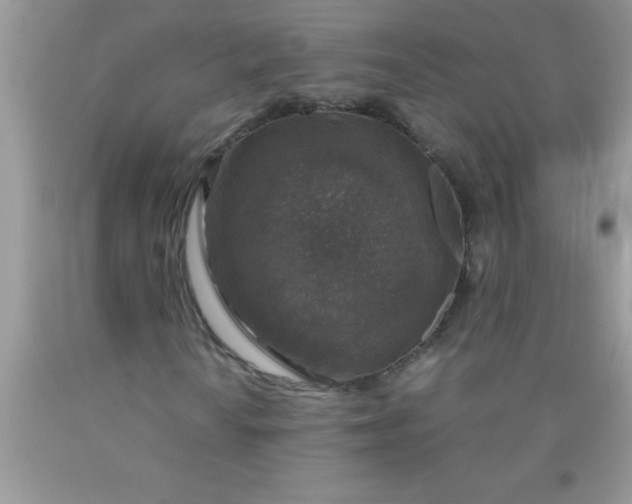 X0000090451010200707272211