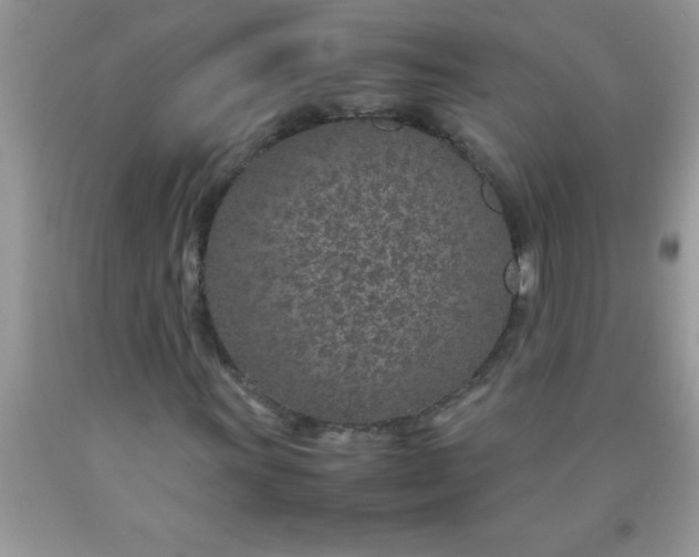 X0000090451011200707272211