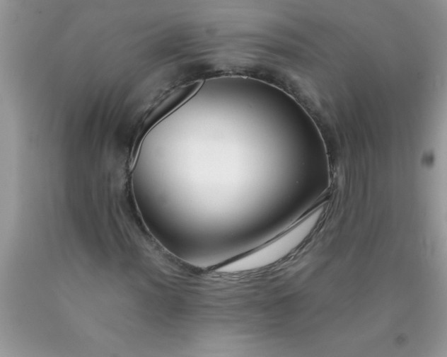 X0000090451012200707272211