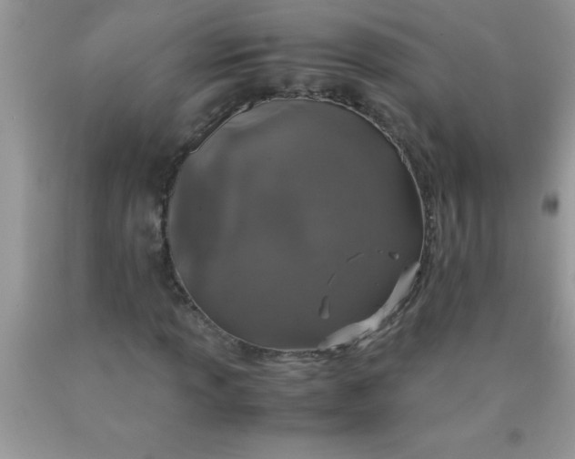 X0000090451013200707272211