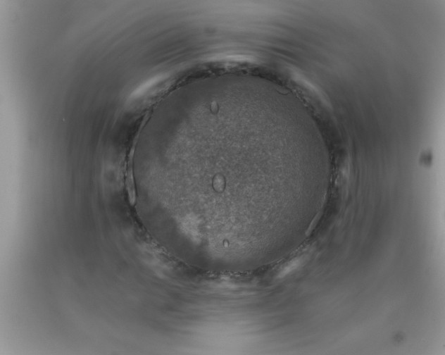 X0000090451014200707272211