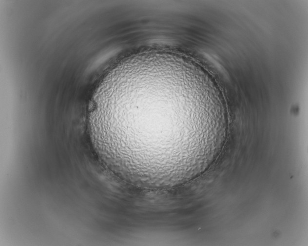 X0000090451015200707272211