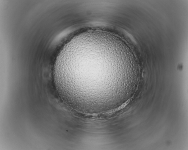 X0000090451016200707272211