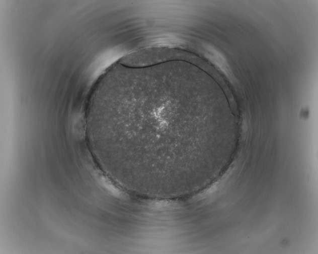 X0000090451018200707272211