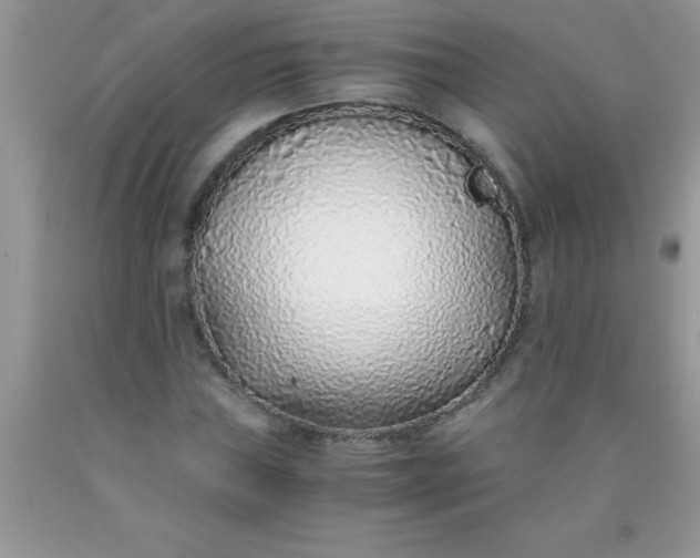 X0000090451019200707272211