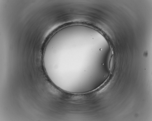 X0000090451021200707272211