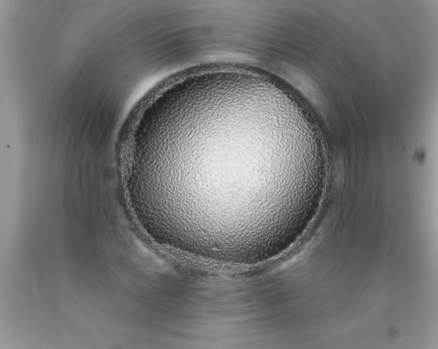 X0000090451022200707272211