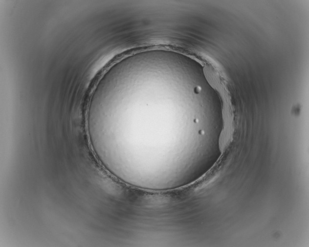 X0000090451023200707272211