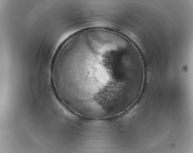 X0000090451024200707272211