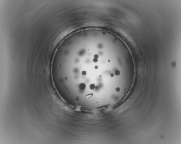 X0000090451025200707272211