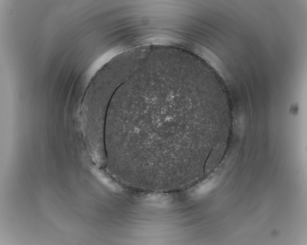 X0000090451026200707272211