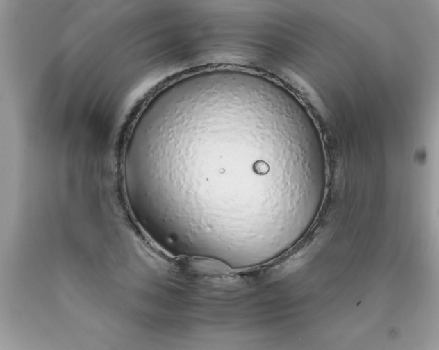 X0000090451027200707272211