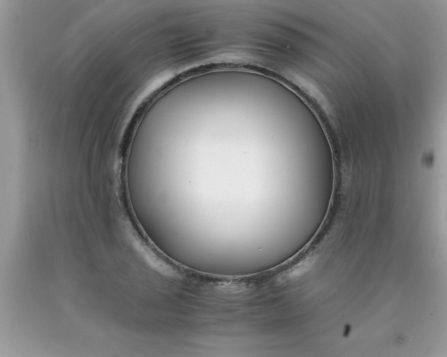 X0000090451029200707272211