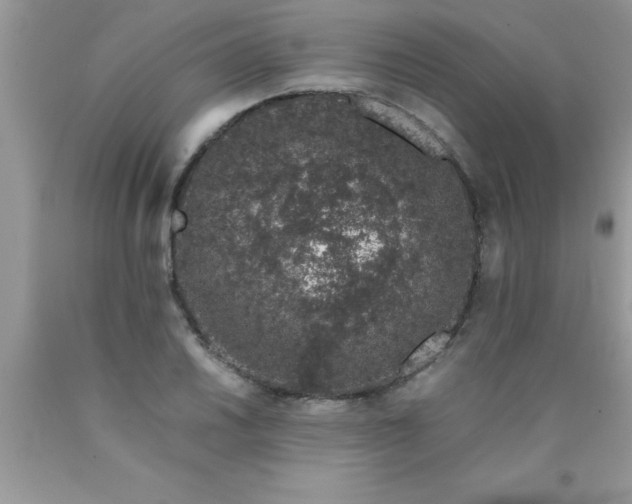 X0000090451030200707272211