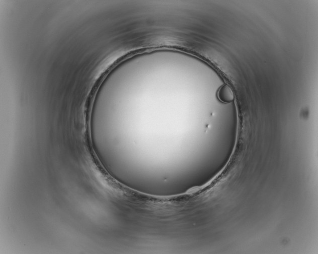 X0000090451031200707272211