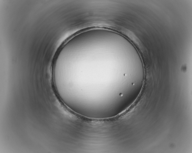 X0000090451032200707272211