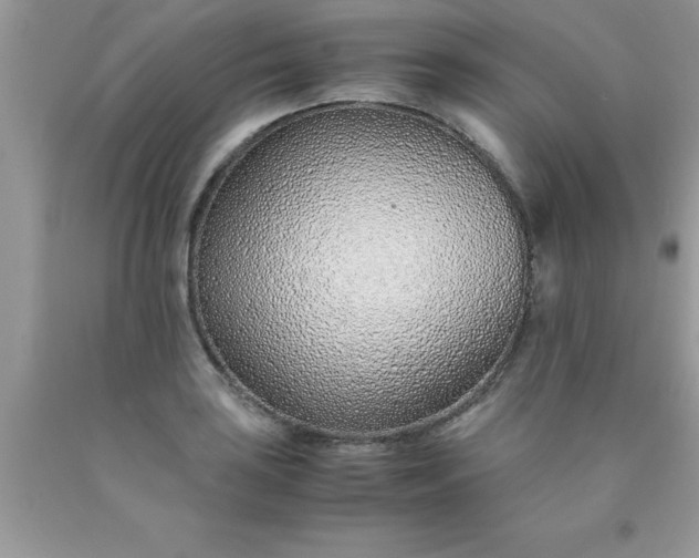 X0000090451035200707272211