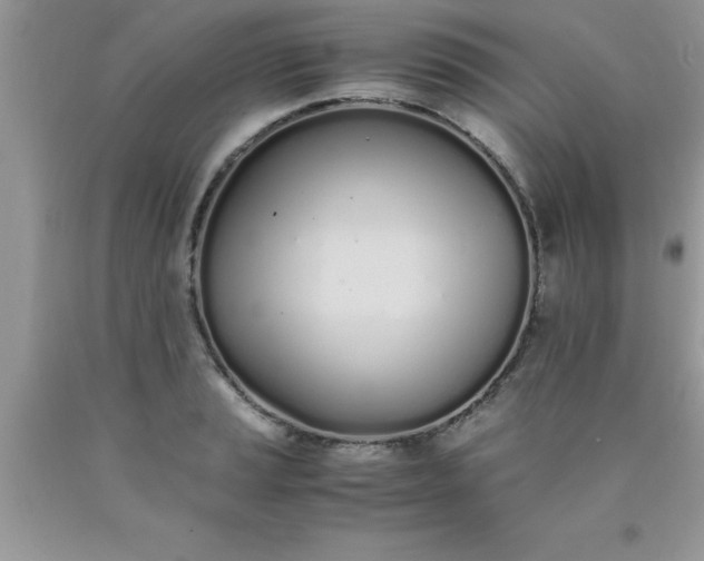 X0000090451037200707272211