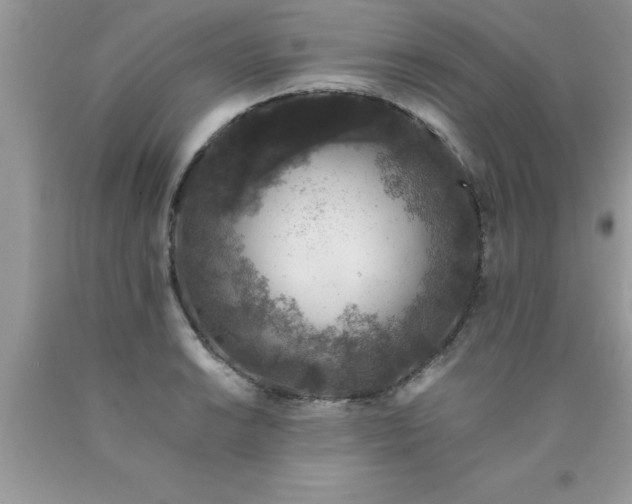 X0000090451038200707272211