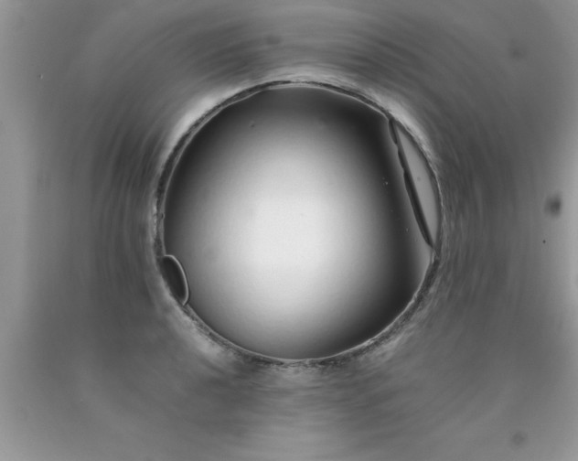 X0000090451040200707272211