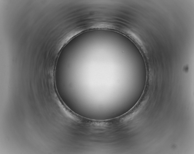 X0000090451041200707272211