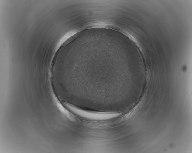 X0000090451042200707272211