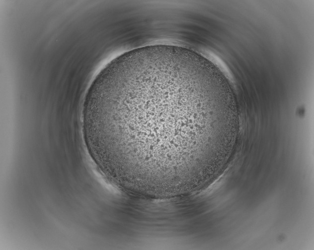 X0000090451043200707272211