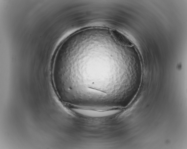 X0000090451045200707272211