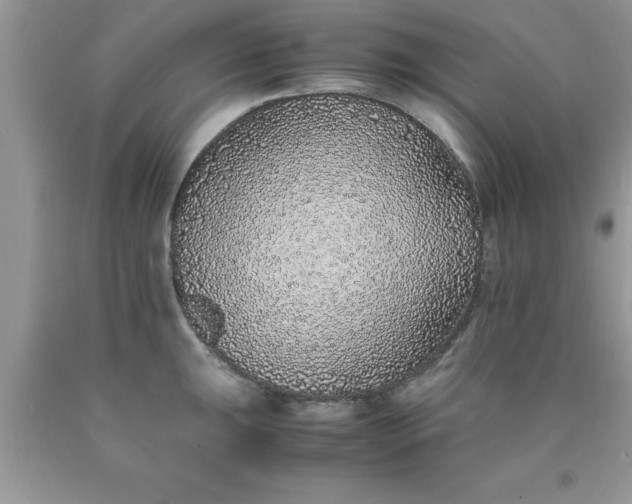 X0000090451047200707272211