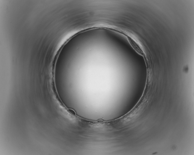 X0000090451048200707272211